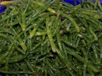 Salicornes et Asters, pour faire le plein de nutriments