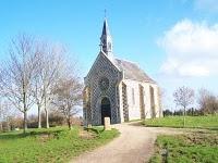 Salicornes et Asters, pour faire le plein de nutriments