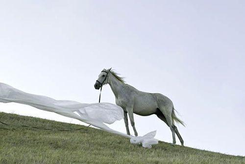 0_stories_works_materiaprima_m