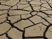Sécheresse gouvernement doit prendre mesures d’urgence