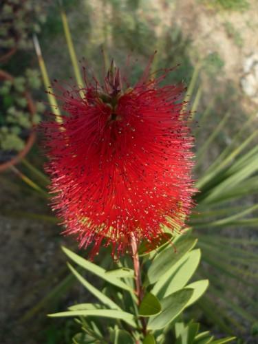 RINCE BOUT 130511 943 (1224 x 1632).jpg