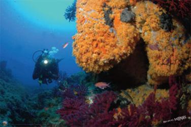 Baptême de plongée sous-marine à Menton