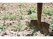 s'enterre pour tester limites meurt étouffé