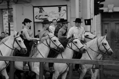 Abrivado d'Alès : ne pas perdre les taureaux