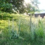 Un Lit au Pré :Laissez vous tenter !