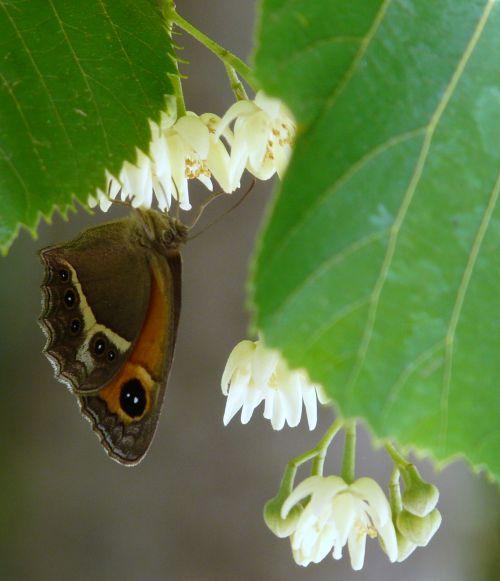 Changement de temps : journal du 3 juin 2011
