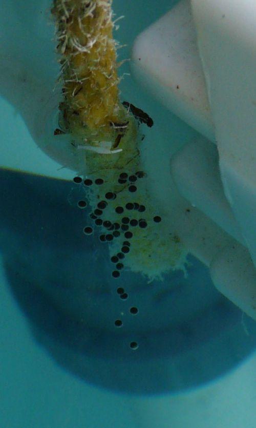 Changement de temps : journal du 3 juin 2011