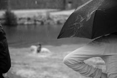 Photographies de la course de la gardonnenque 2011 en