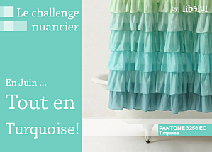 Carpe Diem ... banner-challenge-nuancier Libelul