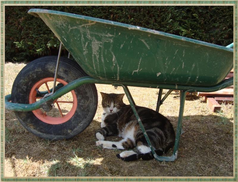 Chaleur et pas une goutte de pluie, 3 juin 2011