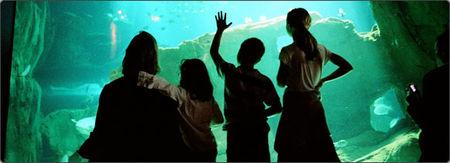aquarium3