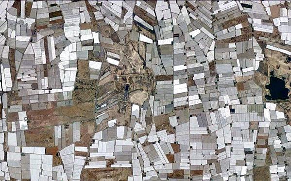 d.u.M.s el edjido 11