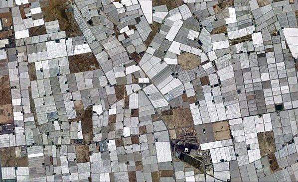 d.u.M.s el edjido 02