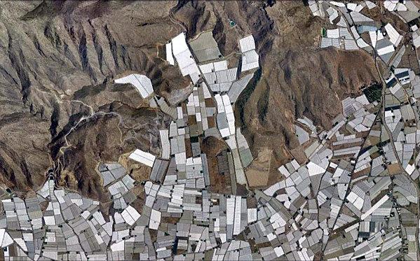 d.u.M.s el edjido 09