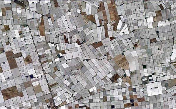 d.u.M.s el edjido 06