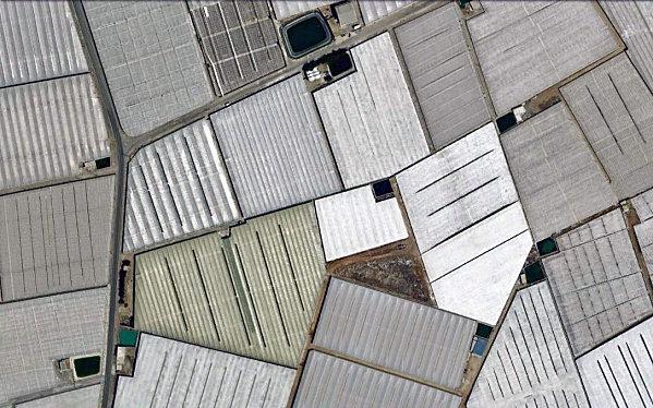 d.u.M.s el edjido 04