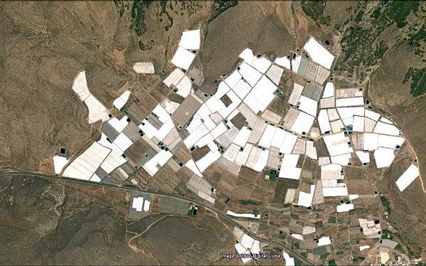 d.u.M.s el edjido 08