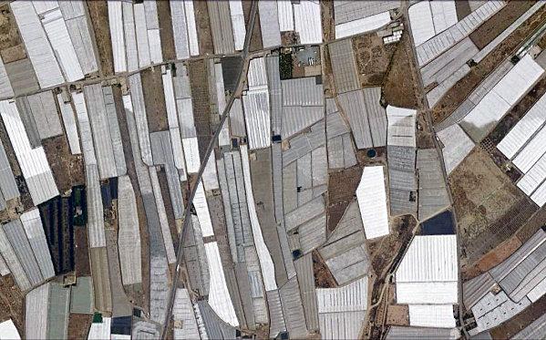 d.u.M.s el edjido 10