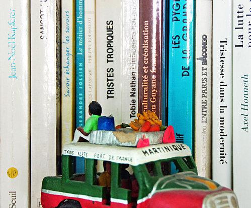 tristes-tropiques.jpg