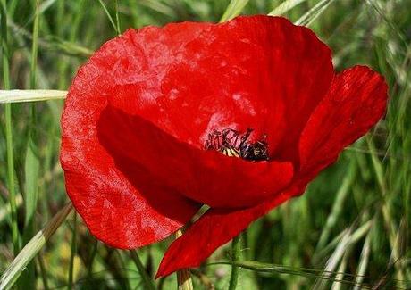 Un petit tour et puis s'en va ... IMGP9385