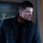 Live Free Or Twihard