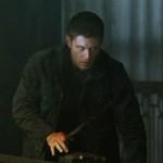 Live Free Or Twihard