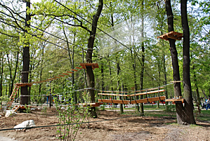 Sorties : Grimper dans les arbres au Parc Floral Logo-Parc-Floral.png