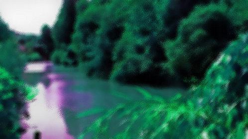 Marne-hommage-Richter