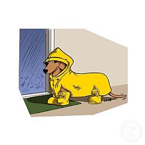 dachshund_in_raincoat_red_photosculpture-p15320034061685506.jpg