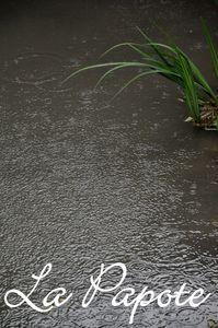 A la foire internationale et autres petites choses DSC_0058