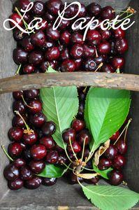 A la foire internationale et autres petites choses DSC_0033
