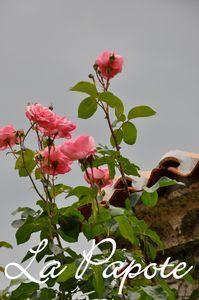 A la foire internationale et autres petites choses DSC_0057