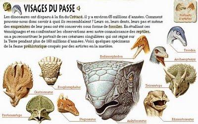 Il est encore là le temps des dinosaures 1/2