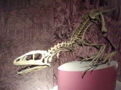 Il est encore là le temps des dinosaures 1/2