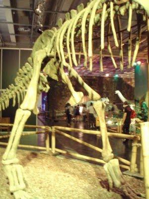 Il est encore là le temps des dinosaures 1/2