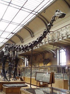 Il est encore là le temps des dinosaures 1/2