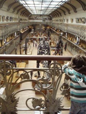 Il est encore là le temps des dinosaures 1/2