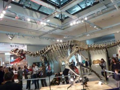 Il est encore là le temps des dinosaures 1/2