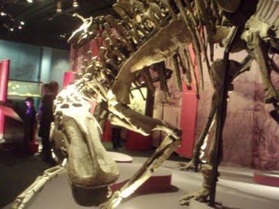 Il est encore là le temps des dinosaures 1/2