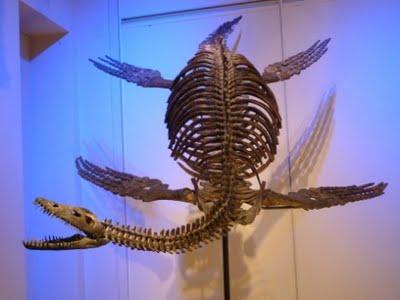 Il est encore là le temps des dinosaures 1/2