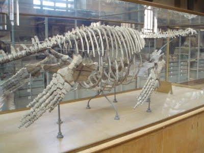 Il est encore là le temps des dinosaures 1/2