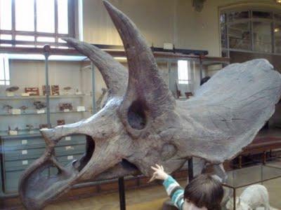 Il est encore là le temps des dinosaures 1/2