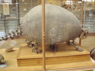 Il est encore là le temps des dinosaures 1/2