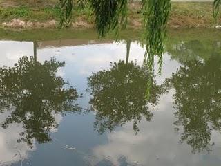 Flaneries entre Auxerrois et Tonnerois