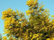 lundi parmi tant d'autres