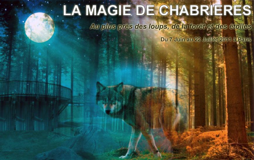 La magie de chabrières, au plus près des loups, de la forêt et des étoiles