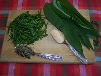 Spaghettis aux Salicornes et à la Consoude