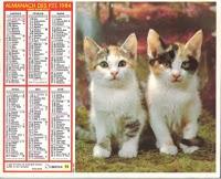 Femme, femme, femme, femme, et femme.. (avec de la #GGP dedans)