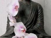 Bouddha page