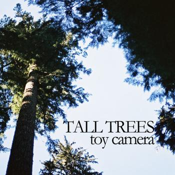 Toy Camera - Tall Trees